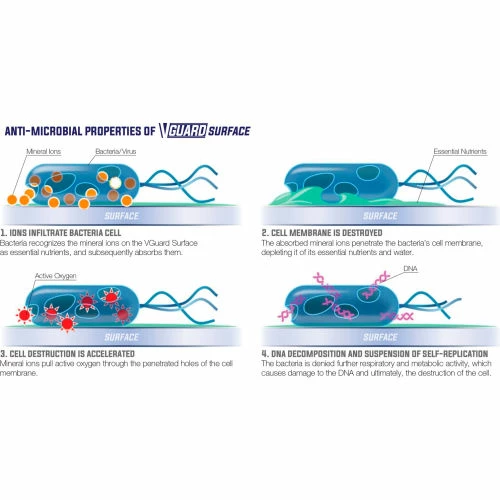 Global Industrial V-Guard Constant Clean Antimicrobial Handle Film, 2-1/2" x 4-1/4", 10/Pack 5 Global Industrial V-Guard Constant Clean Antimicrobial Handle Film, 2-1/2" x 4-1/4", 10/Pack - Image 5
